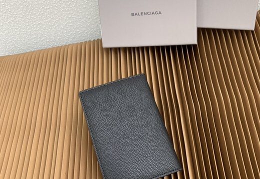 Balenciaga Passport Case PM 002