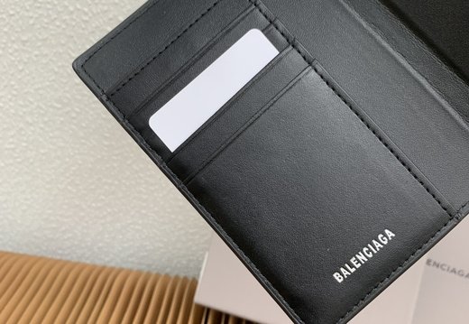 Balenciaga Passport Case PM 008