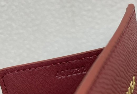 Balenciaga Passport Case PM 018