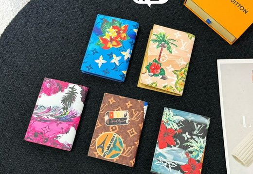 LV Passport Cover 019