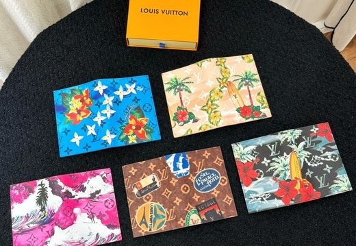 LV Passport Cover 020