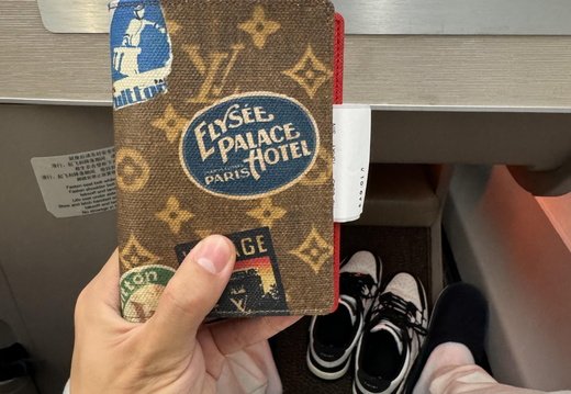 LV Passport Cover 021