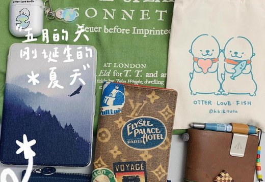 LV Passport Cover 023