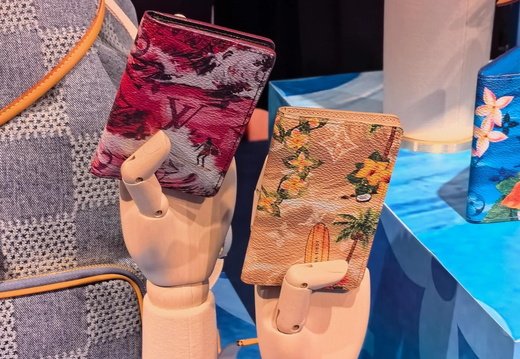 LV Passport Cover 024