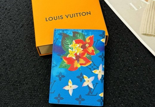 LV Passport Cover 028