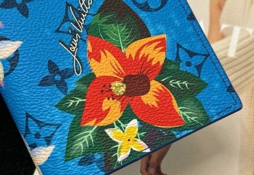 LV Passport Cover 030