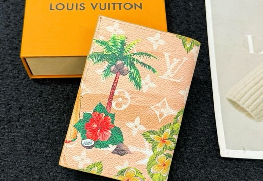 LV Passport Cover 037