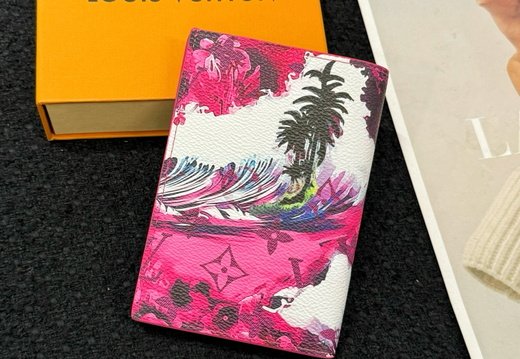 LV Passport Cover 046