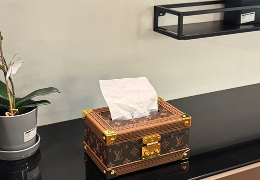 LV tissue box 007
