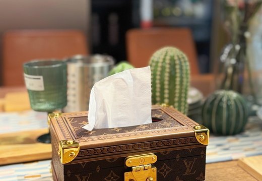 LV tissue box 012