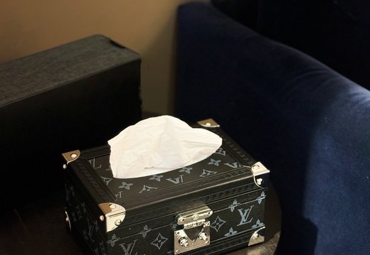 LV tissue box 014
