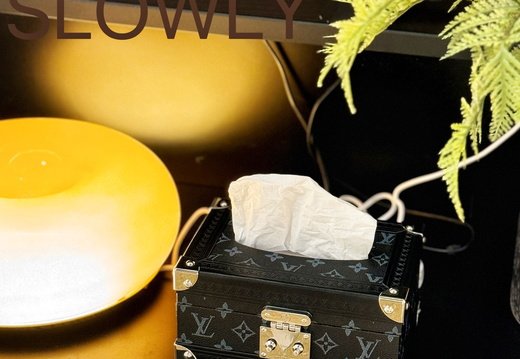 LV tissue box 015