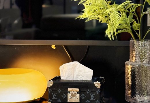 LV tissue box 016