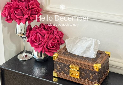 LV tissue box 029
