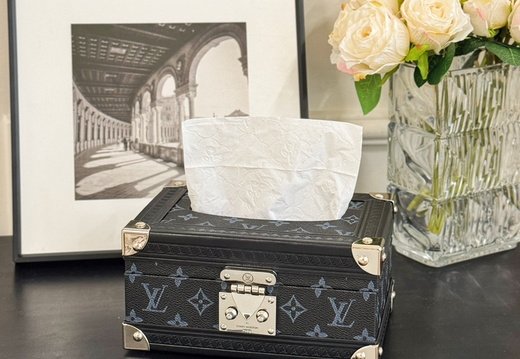 LV tissue box 030