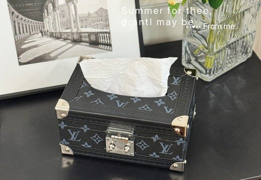 LV tissue box 048