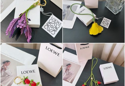 LOEWE A031 202509200130