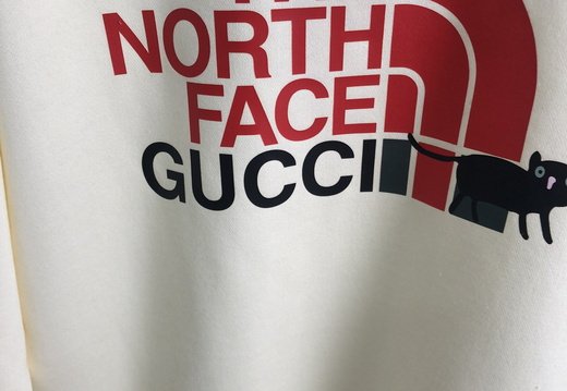 North Face 0011
