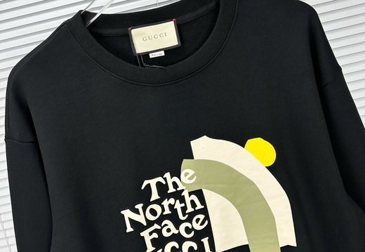 North Face 0033