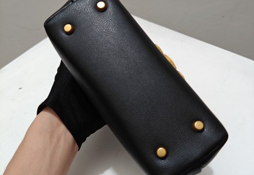 Celine A008 20250330 0039