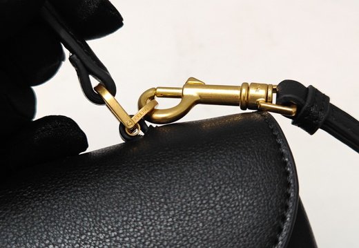 Celine A008 20250330 0040