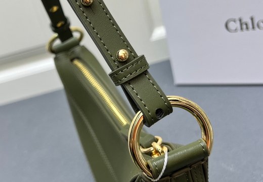 Chloe A008 20250330 0027