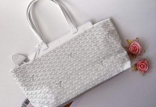 Goyard A008 20250330 0043