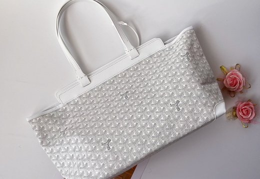 Goyard A008 20250330 0044