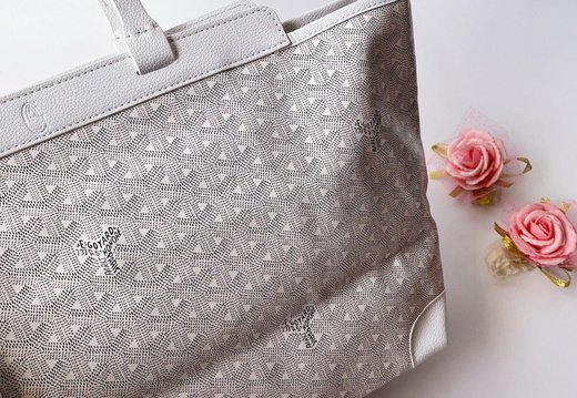 Goyard A008 20250330 0048