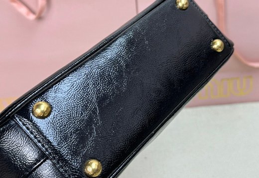 Miumiu A008 20250330 0019