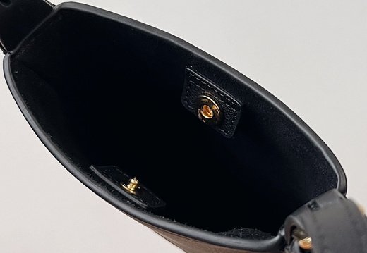 A011 Celine 202503200012