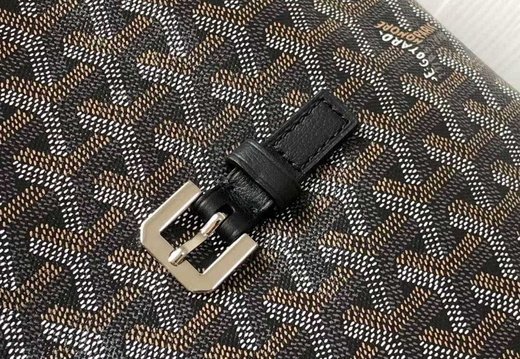 A011 Goyard 202503200003