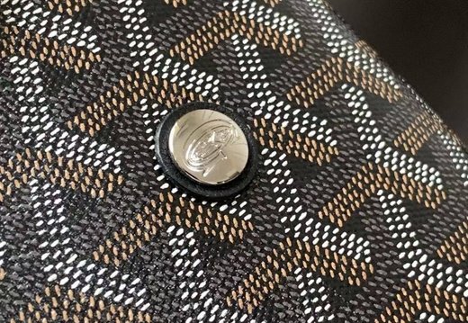 A011 Goyard 202503200005