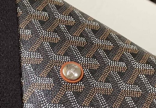 A011 Goyard 202503200013