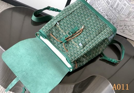 A011 Goyard 202503200023