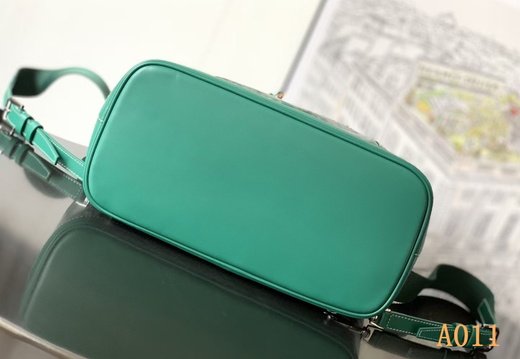 A011 Goyard 202503200024