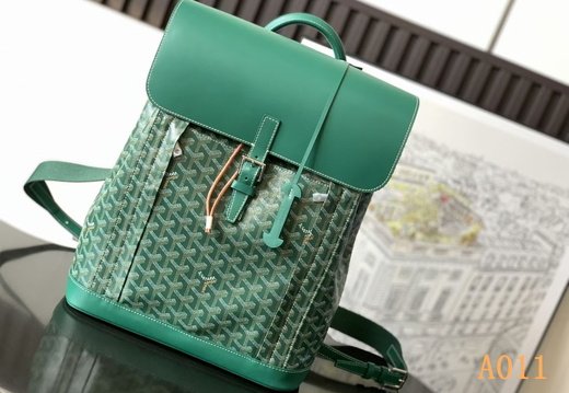 A011 Goyard 202503200027