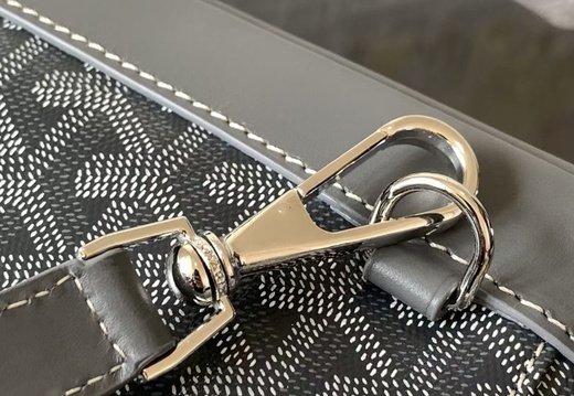 A011 Goyard 202503200030