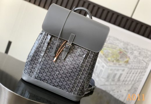 A011 Goyard 202503200036