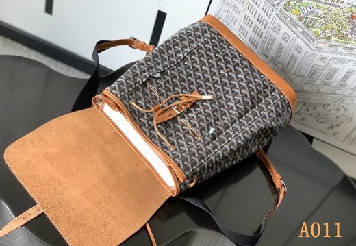 A011 Goyard 202503200038