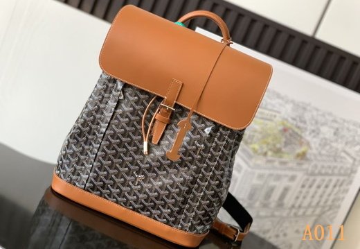 A011 Goyard 202503200045