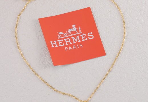 Hermes 0037