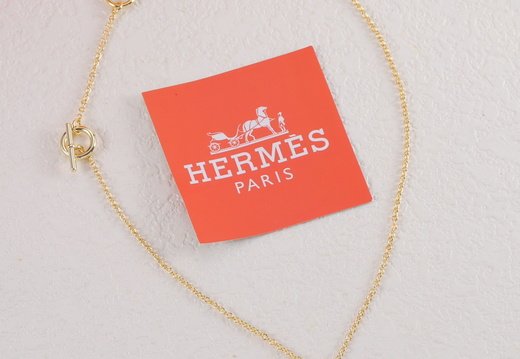Hermes 0040