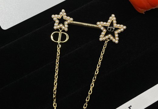 Brooch Dior 0012