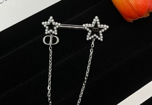 Brooch Dior 0013