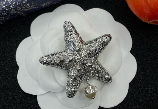 Brooch Dior 0014