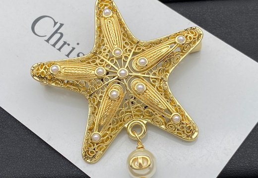 Brooch Dior 0020