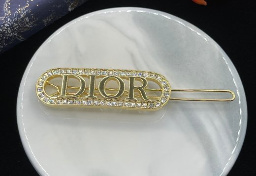 Brooch Dior 0024