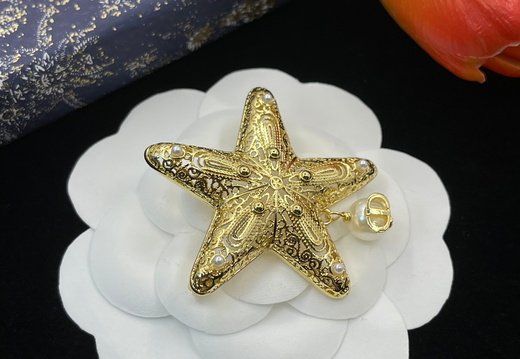 Brooch Dior 0027