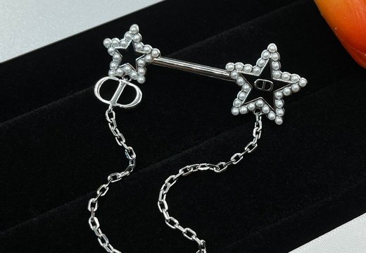 Brooch Dior 0034